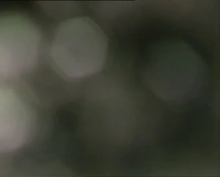 WATER stream bokeh effect Stock-Footage 12601530