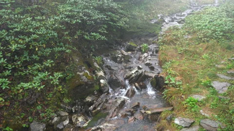Water stream in Cangshan mountain on rainy weather day in Dali Yunnan China Stock Footage 149727677