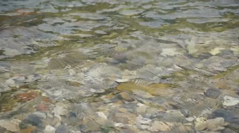 Water Stream Close Up 01 Stock Footage 11406773