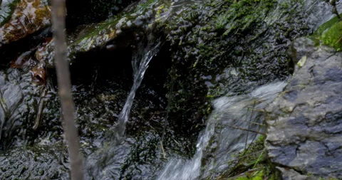 Water stream close up Stock Footage 241115650