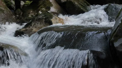 Water stream close up with rocks Stock Footage 146065881