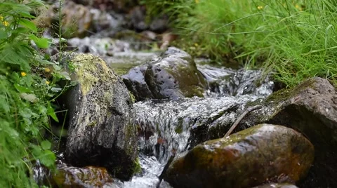 	Water stream coming down the mountain Stock Footage 65511070