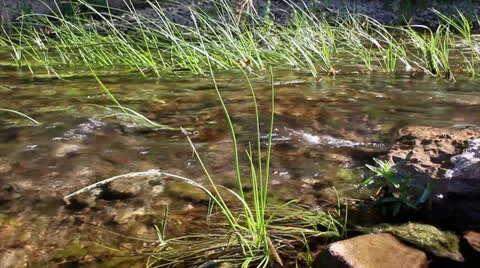 Water Stream E.mp4 Stock Footage 23264364
