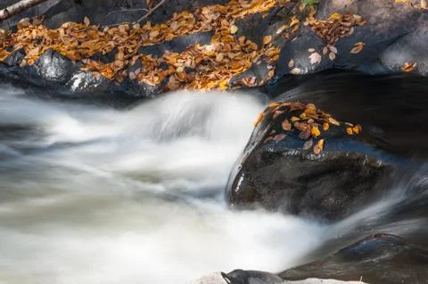 Water stream in fall Stock Photos