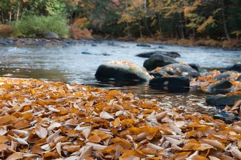 Water stream in fall Stock Photos