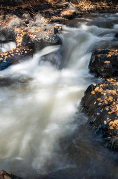 Water stream in fall Stock Photos