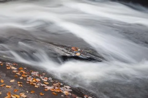 Water stream in fall Stock Photos