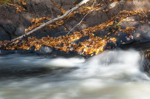 Water stream in fall Fotos de archivo