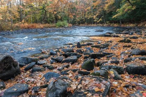 Water stream in fall Stock Photos