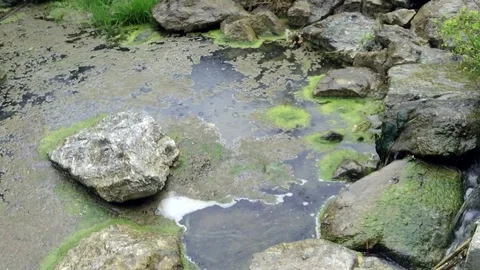 Water stream fallin like a cascade in a small pond with some green algae Video stock 118776549