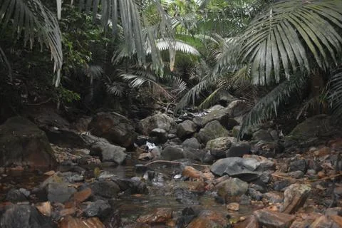Water stream falling between the big rocks Stock Photos
