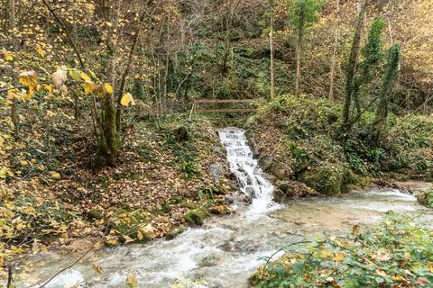 Water from a stream falling down from some rocks in a forest in autumn Stock Photos