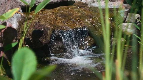 Water stream falling from rock in pond with grass around Video stock 81611845