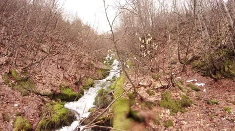 Water of Stream Flow Down Along Mossy Rocks in Forest Stock Footage 63961850