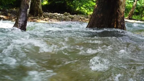 Water stream flowing among the trees in the forest in rain season. 스톡 동영상 284144250