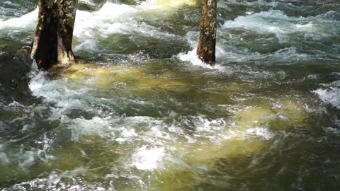 Water stream flowing among the trees in the forest in rain season. 스톡 동영상 284144381