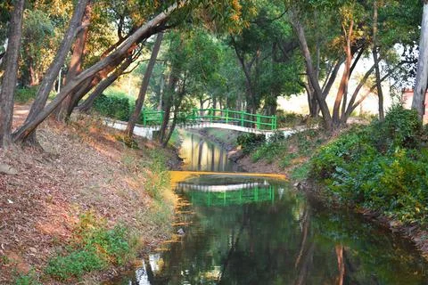 A water stream flowing between a forest with green tress and a bridge connect Stock Photos