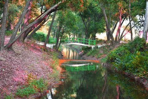 A water stream flowing between a forest with green tress and a bridge connect Stock Photos