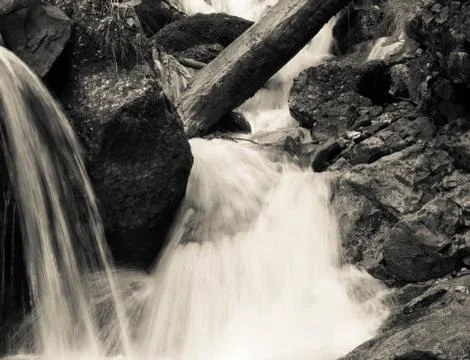 Water stream flowing between rocks into the forest. Water spring in Bucegi Na Stock-Fotos