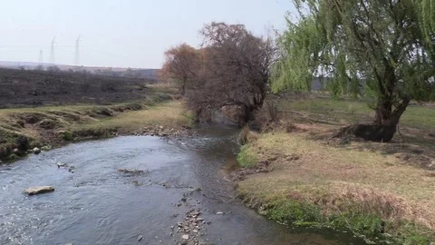 Water Stream Flowing Stock Footage 109755119