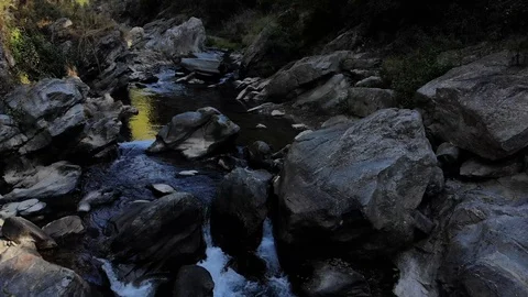 Water stream flowing in the forest Stock Footage 124788905