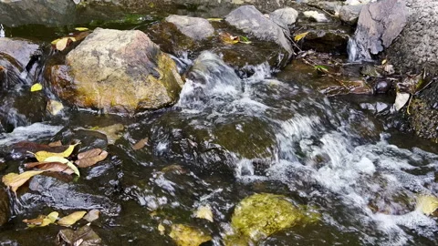 Water stream flowing on rock Stock Footage 243789621
