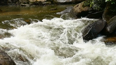 Water stream flowing on rock in forest Stock Footage 108893953