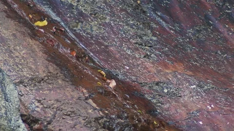 Water Stream Flowing on Smooth Red Rock Surface Loop Stockbeeldmateriaal 333661450