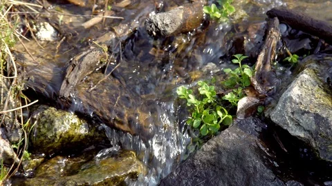 Water stream flowing through rocks Stock Footage 88559791