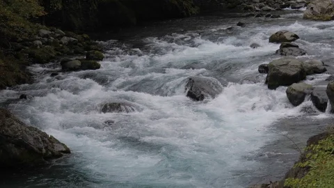Water stream flowing through stone in the jungle Stock Footage 105273362