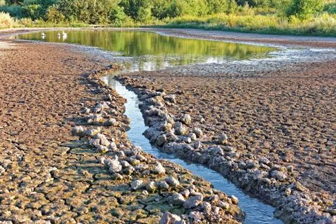 Water stream flows into the pond shrinking Stock Photos
