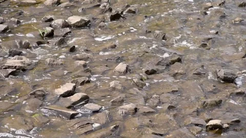 Water stream flows quickly over rocks - mountain stream close-up Stock Footage 109591848