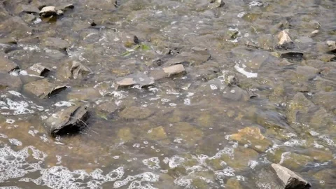 Water stream flows quickly over rocks - mountain stream close-up Stock Footage 109591851