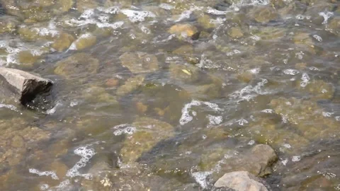Water stream flows quickly over rocks - mountain stream close-up Stock Footage 109591882
