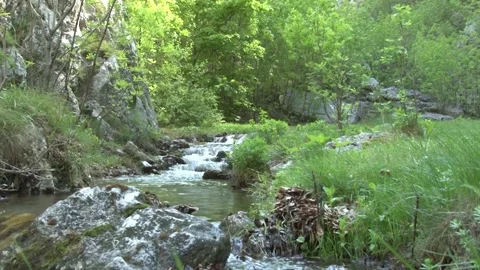 The water of a stream flows quietly among the rocks Stock Footage 140915172