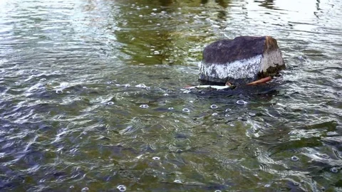 Water stream flows in slow motion Stock Footage 78551985