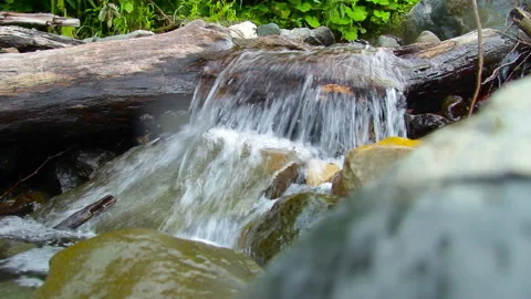 Water stream flows through a fallen tree ProRes422HQ Video stock 138730237