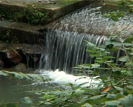 Water Stream Stock Footage 118515
