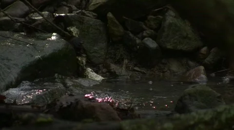 Water Stream 库存影片 713985