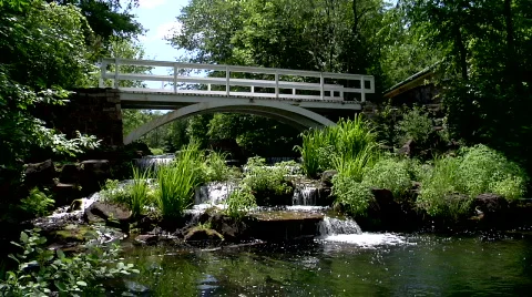 Water Stream 動画素材 768266