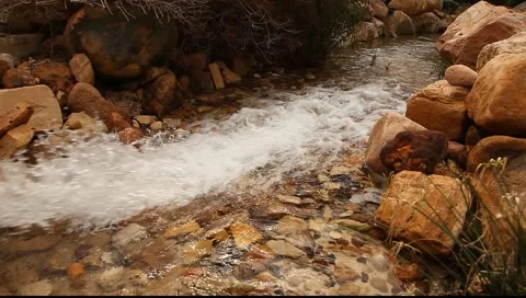 Water stream Stock-Footage 2873197