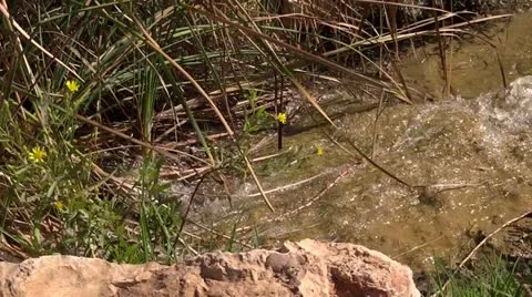 Water stream Stock Footage 12297194