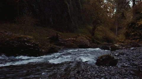 Water Stream Stock Footage 37388706