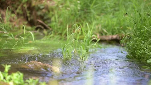 Water stream 库存影片 72295341