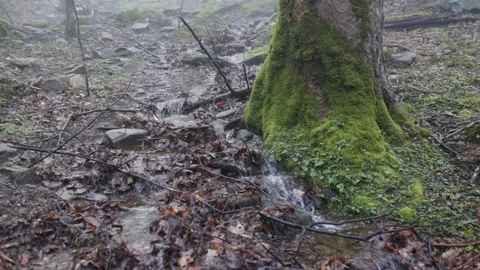 Water stream 動画素材 87745963