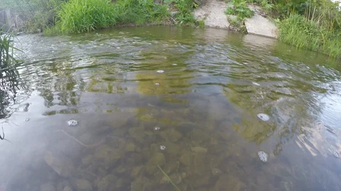 Water stream Stock Footage 90463561