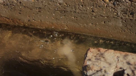 Water stream Stock Footage 125071201