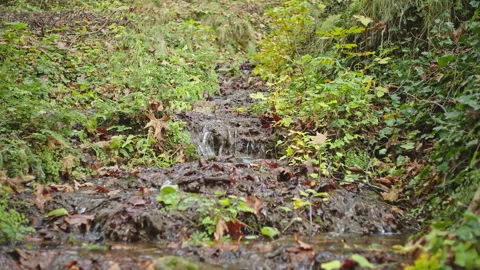 Water Stream Stock Footage 145063181