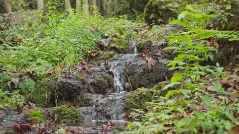 Water Stream Stock Footage 145066728