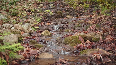 Water Stream Stock Footage 145213526